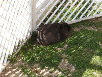 IMGP0917