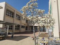 IMGP0918