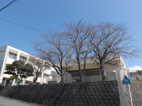 IMGP1254