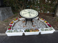 IMGP0046