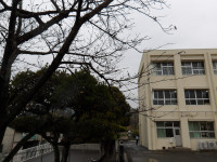 IMGP1076