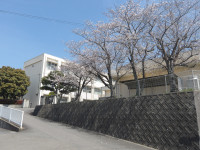 IMGP0269