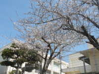 IMGP0270