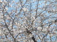 IMGP0271
