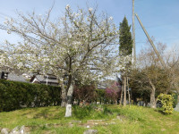 IMGP0278