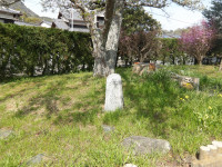 IMGP0279
