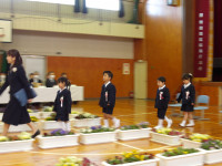 IMGP1538