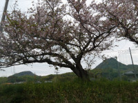 IMGP1245