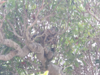 IMGP0624