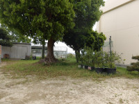 IMGP1738