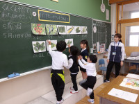 IMGP2284