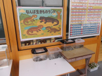 IMGP0746