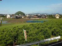 IMGP1315