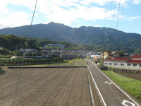 IMGP1317