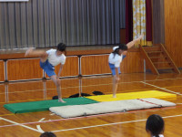 IMGP1328