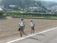 IMGP1617