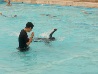 IMGP0101