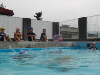 IMGP3828