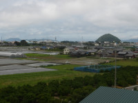 IMGP3851