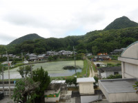 IMGP3850