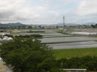 IMGP3858