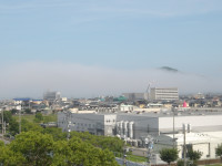 IMGP2119