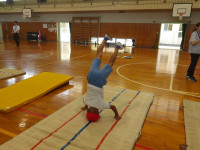 IMGP2380