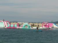 IMGP2466