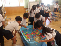 IMGP4381