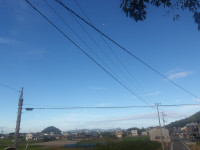 IMGP4410