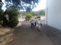 IMGP4419
