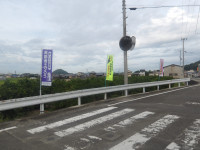 IMGP4541