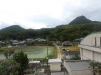 IMGP4605