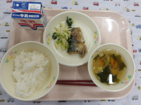 IMGP4720