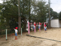 IMGP4860