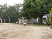 IMGP2320