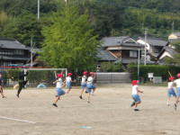 IMGP2352
