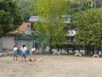 IMGP2379