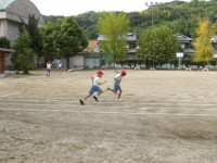 IMGP2367