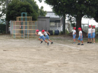IMGP2356