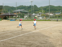 IMGP2371