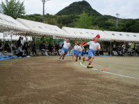 IMG_0033