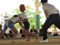 IMG_2277