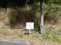 IMGP1077