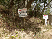 IMGP1084