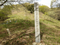 IMGP1088