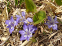 IMGP1097