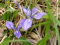 IMGP1102