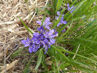 IMGP1105