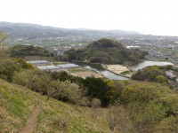 IMGP1117